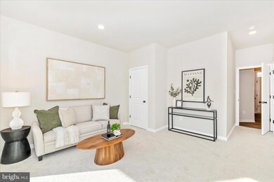 306 Baughmans Ln, Frederick, MD 21702 - photo 5