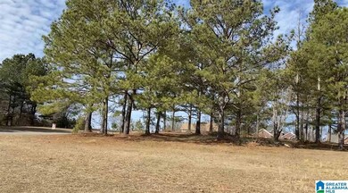 Lot 25 County Road 70, Thorsby, AL 35171 - photo 7
