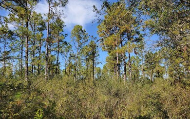 0 County Line Rd unit 121590, Lee, FL 32059 - photo 5