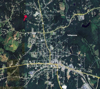 174 Faye St, Tallapoosa, GA 30176 - photo 6