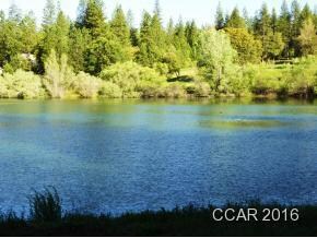 55 Foxglove Ct, Murphys, CA 95247 - photo 2