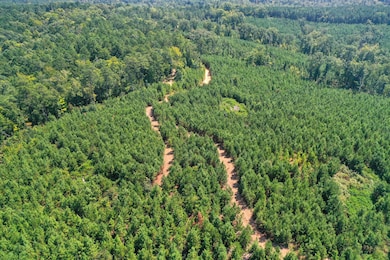 0 Old Windmill Rd unit 24711444, Ridgeway, SC 29130 - photo 5