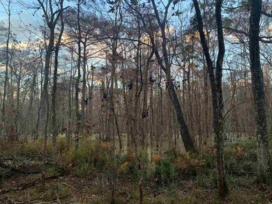 Lot 6A Strattonwood Place, Crawfordville, FL 32327 - photo 2