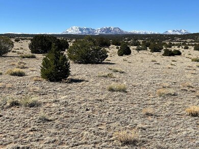 Lot 93 Twin Lakes Ranch, Walsenburg, CO 81089 - photo 6