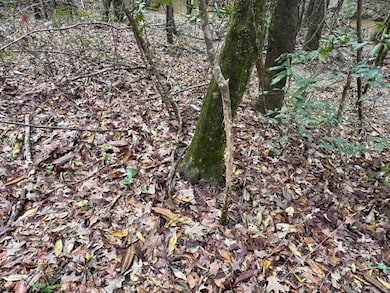 920b Auburn Dr SW, Bogue Chitto, MS 39629 - photo 7