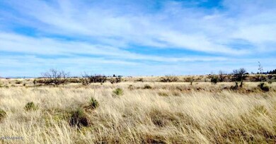1.66 ACRES on Euclid ST (6)