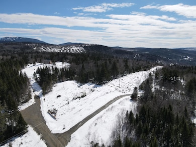DJI_0604