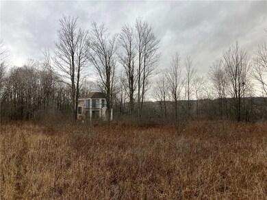 Cabin on Property is located in the Center of the