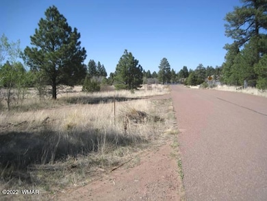 Meadow Rd 4