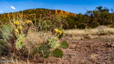 20230216170857459861000000-o