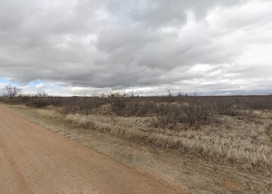 Willcox unit AZ 85643, Willcox, AZ 85643 - photo 2