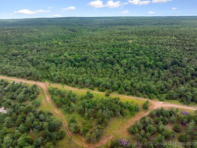 25 Tram Trail, Rattan, OK 74562 - photo 4