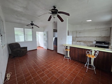 Sr 15 km 20.4 Quebrada Arriba and Culebras Debajo, Cayey, PR 00736 - photo 5