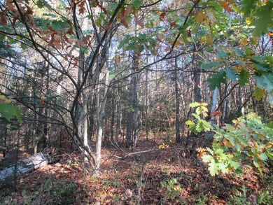 0 Whitefield Rd, Dalton, NH 03598 - photo 4