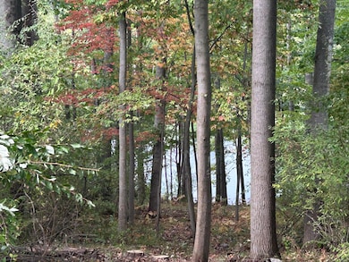 8601 N Island Dr unit 41, Canadian Lakes, MI 49346 - photo 4