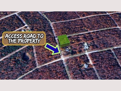 679G+436 Horseshoe Bend unit Arkansas AR USA, Horseshoe Bend, AR 72512 - photo 4