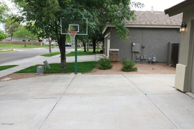 Driveway with Hoop