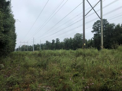 ParlerOrangeburg8