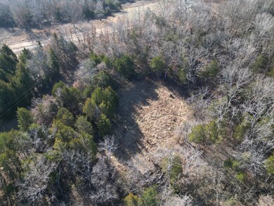 DJI_00386a21