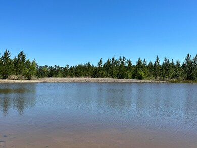 IMG_2585