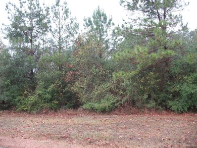 165 White Oak Ln, Lufkin, TX 75904 - photo 7