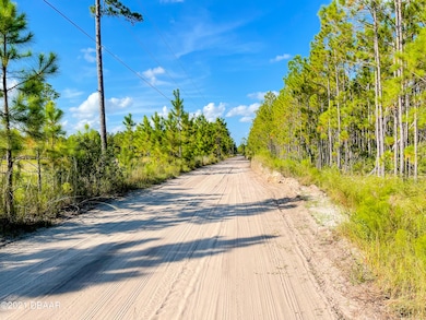 0 Durrance Ln unit 1220142, Ormond Beach, FL 32174 - photo 2