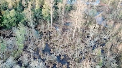 TBD Valley Dr, Americus, GA 31709 - photo 4