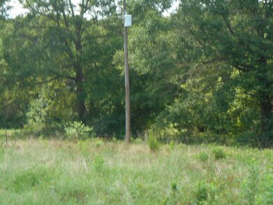 400 BLK County Road 134, Garrison, TX 75946 - photo 5