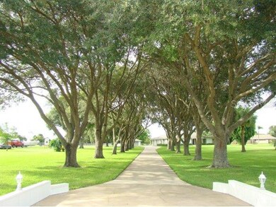 OAK CANOPY DRIVEWAY