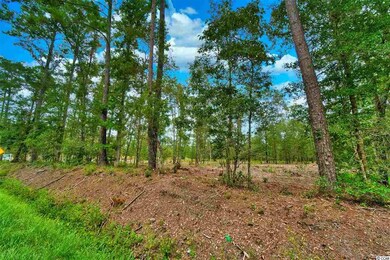 TBD Tract B S Carolina 19, Loris, SC 29569 - photo 2