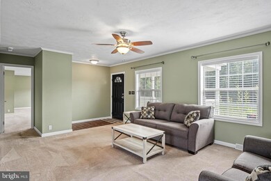 28032 E Trap Pond Rd, Laurel, DE 19956 - photo 6