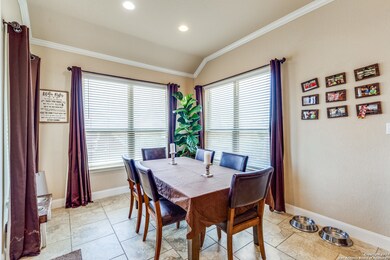 25906 Natal Plum, San Antonio, TX 78261 - photo 6
