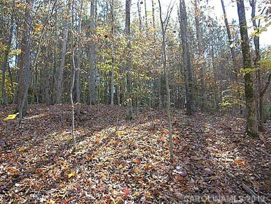 Land/Lot