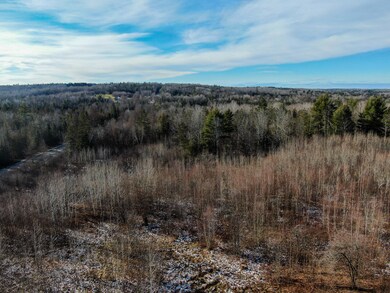 DJI_0795