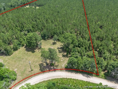 0 Oriole Rd unit 23852171, Alma, GA 31510 - photo 3