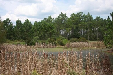 Pond 2 behind LOT13C