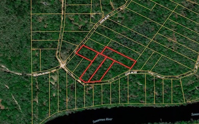 12 SE Earl Blvd Lot 73-75, Branford, FL 32008 - photo 3