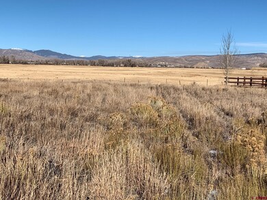 300 Tomichi Creek Loop, Gunnison, CO 81230 - photo 4