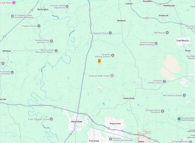 Mcgregor Ct, Hempstead, TX 77445 - photo 4