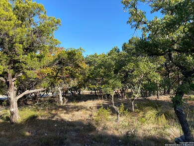 11326 Caliza Crest, Boerne, TX 78006 - photo 7