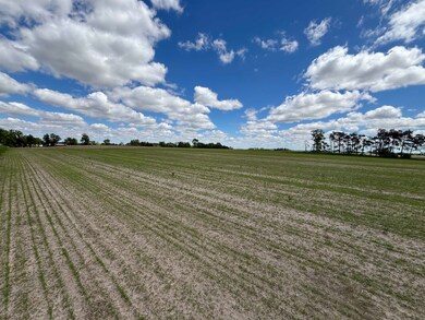 Lot 2 Otsego Rd, Columbus, WI 53925 - photo 4