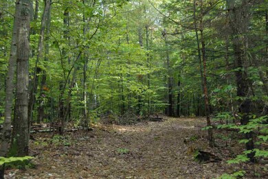 35 Hummel Dr, Corinth, NY 12822 - photo 5