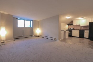 120 Lanark Rd unit 14, Brighton, MA 02135 - photo 3