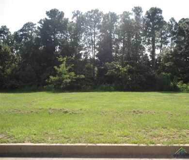 3710 Winding Way, Tyler, TX 75707 - photo 7