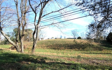 000 Lee Hwy, Meadowview, VA 24361 - photo 7