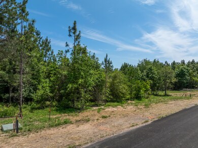 Lot #82 Red Wiggler Way, Lumberton, MS 39455 - photo 6