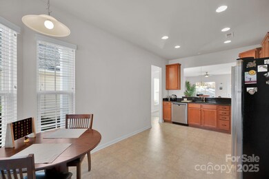 20310 Dovekie Ln, Fort Mill, SC 29707 - photo 6