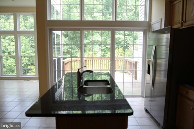 13418 Matthews Vista Dr, Centreville, VA 20120 - photo 4