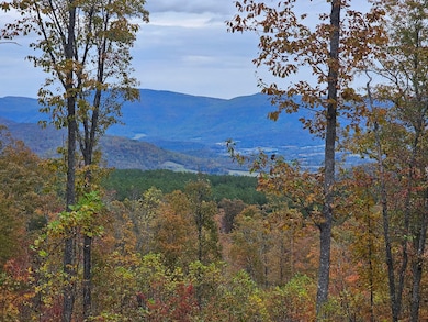 0 Overview Rd unit RTC3011844, Crossville, TN 38572 - photo 4