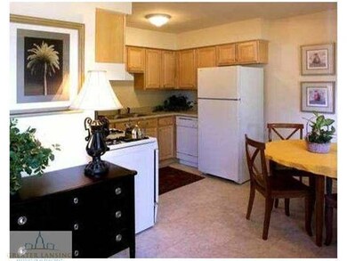 933 Vincent Ct unit 206, Lansing, MI 48910 - photo 4